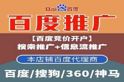 某企业选择SEM外包公司的决策与成果展示